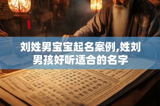 刘姓男宝宝起名案例,姓刘男孩好听适合的名字