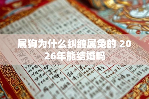 属狗为什么纠缠属兔的 2026年能结婚吗