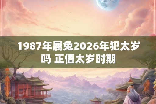 1987年属兔2026年犯太岁吗 正值太岁时期