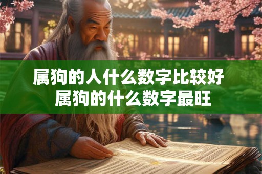 属狗的人什么数字比较好  属狗的什么数字最旺