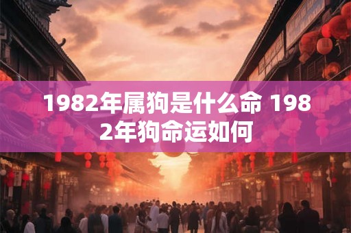 1982年属狗是什么命 1982年狗命运如何