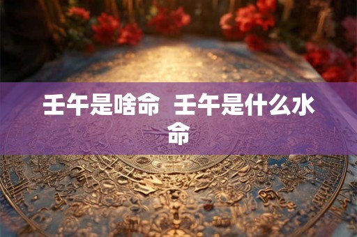 壬午是啥命  壬午是什么水命