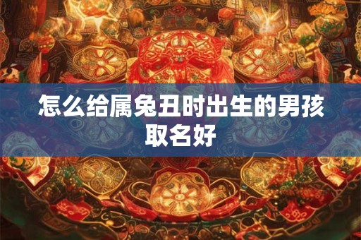 怎么给属兔丑时出生的男孩取名好