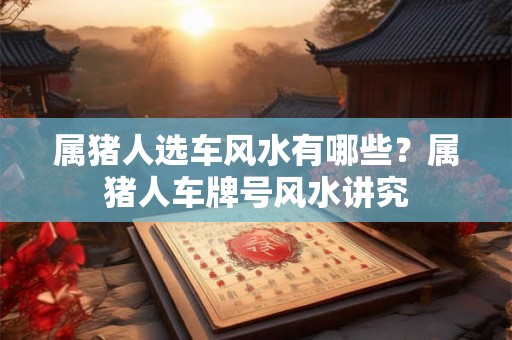 属猪人选车风水有哪些？属猪人车牌号风水讲究