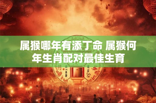 属猴哪年有添丁命 属猴何年生肖配对最佳生育 属猴哪年有添丁命 属猴何年生肖配对最佳生育