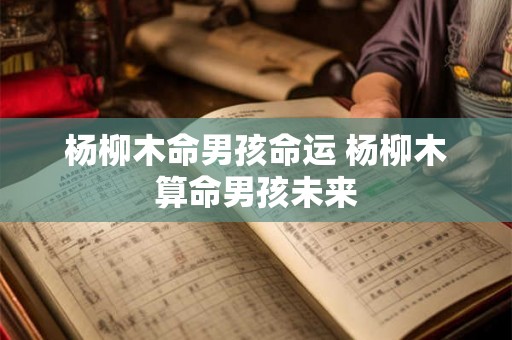 杨柳木命男孩命运 杨柳木算命男孩未来 杨柳木命男孩命运 杨柳木算命男孩未来