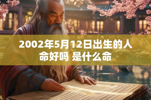 2002年5月12日出生的人命好吗 是什么命