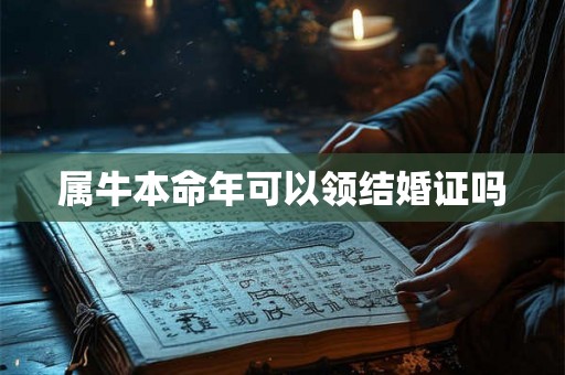 属牛本命年可以领结婚证吗 属牛本命年可以领结婚证吗