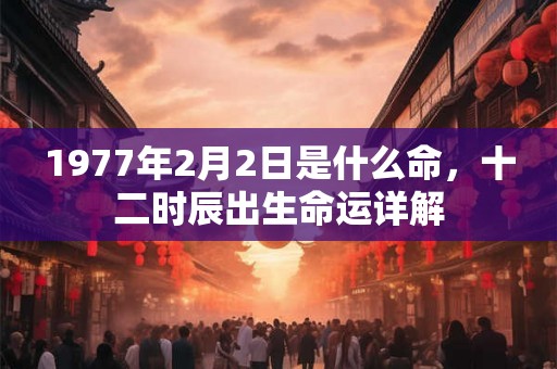 1977年2月2日是什么命，十二时辰出生命运详解