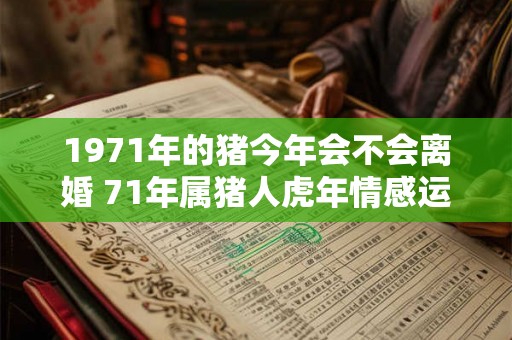1971年的猪今年会不会离婚 71年属猪人虎年情感运势