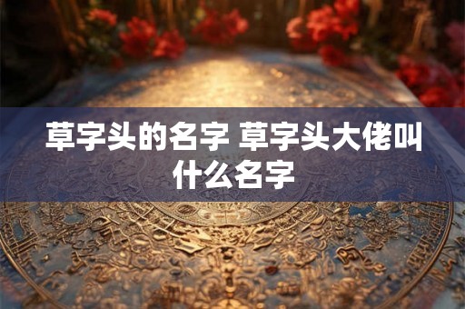 草字头的名字 草字头大佬叫什么名字