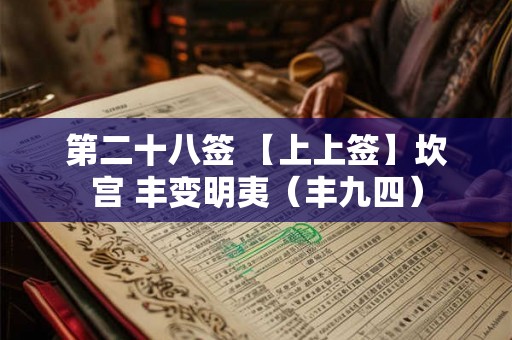 第二十八签 【上上签】坎宫 丰变明夷（丰九四）