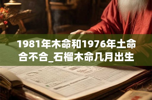 1981年木命和1976年土命合不合_石榴木命几月出生好