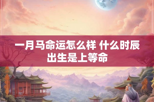 一月马命运怎么样 什么时辰出生是上等命