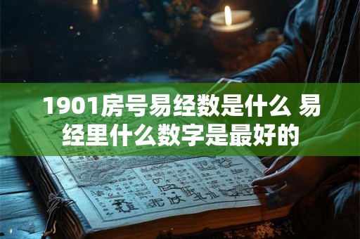 1901房号易经数是什么 易经里什么数字是最好的