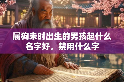属狗未时出生的男孩起什么名字好，禁用什么字