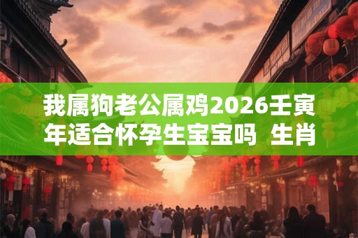 我属狗老公属鸡2026壬寅年适合怀孕生宝宝吗  生肖虎2026运势怎么样