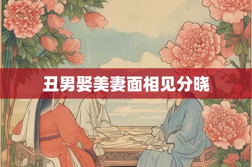丑男娶美妻面相见分晓