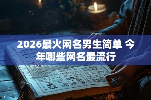 2026最火网名男生简单 今年哪些网名最流行