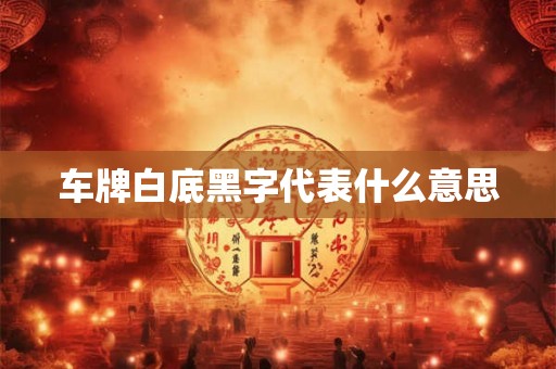 车牌白底黑字代表什么意思
