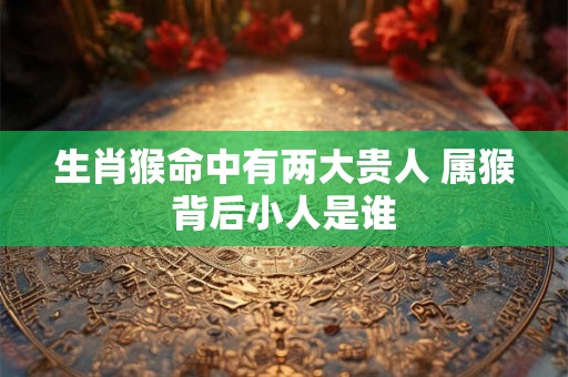生肖猴命中有两大贵人 属猴背后小人是谁