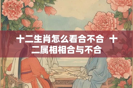 十二生肖怎么看合不合  十二属相相合与不合
