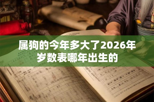 属狗的今年多大了2026年岁数表哪年出生的