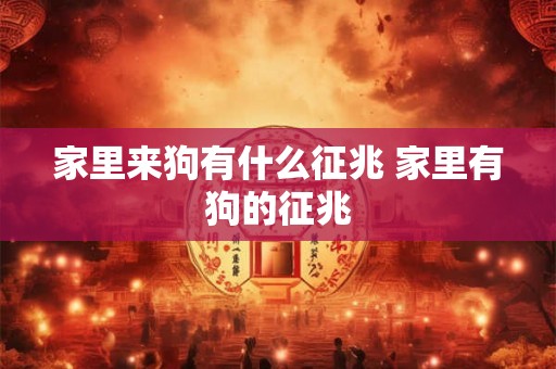 家里来狗有什么征兆 家里有狗的征兆