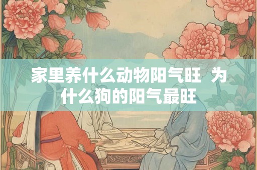 家里养什么动物阳气旺  为什么狗的阳气最旺