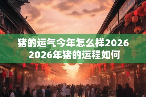 猪的运气今年怎么样2026 2026年猪的运程如何
