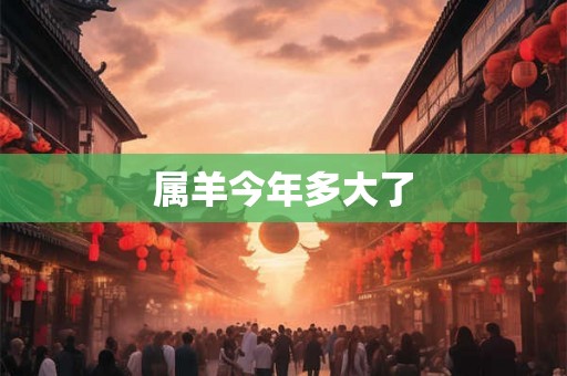 属羊今年多大了
