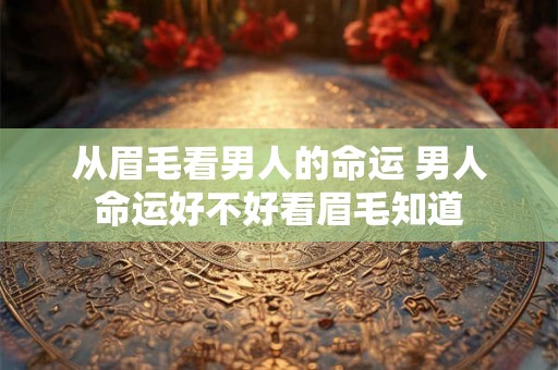 从眉毛看男人的命运 男人命运好不好看眉毛知道