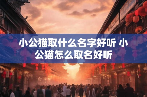 小公猫取什么名字好听 小公猫怎么取名好听