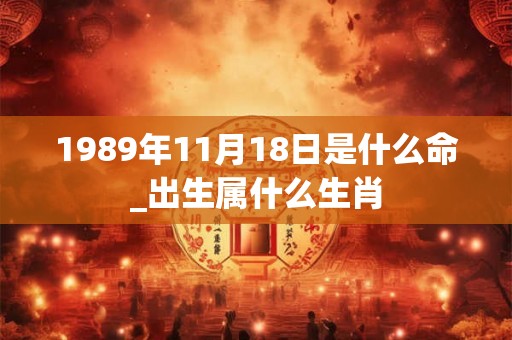1989年11月18日是什么命_出生属什么生肖