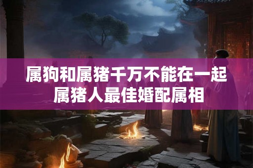 属狗和属猪千万不能在一起 属猪人最佳婚配属相