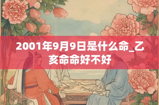 2001年9月9日是什么命_乙亥命命好不好