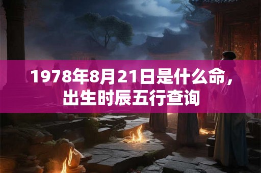 1978年8月21日是什么命，出生时辰五行查询