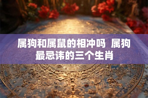 属狗和属鼠的相冲吗  属狗最忌讳的三个生肖