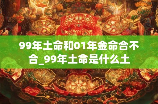 99年土命和01年金命合不合_99年土命是什么土
