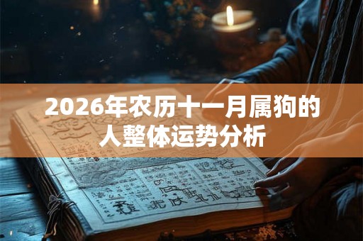 2026年农历十一月属狗的人整体运势分析