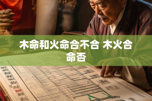 木命和火命合不合 木火合命否
