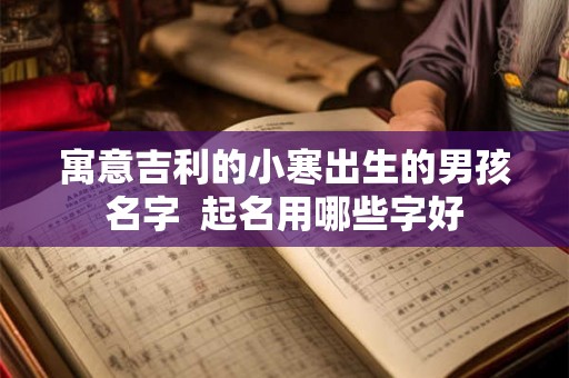 寓意吉利的小寒出生的男孩名字 起名用哪些字好 寓意吉利的小寒出生的男孩名字 起名用哪些字好