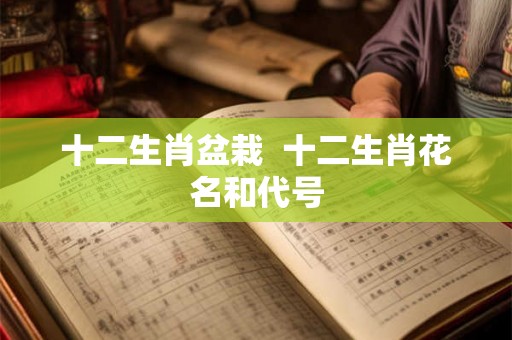 十二生肖盆栽  十二生肖花名和代号