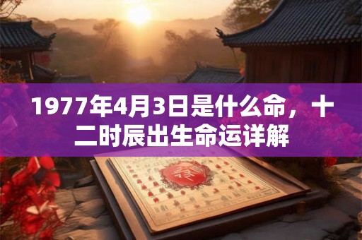 1977年4月3日是什么命，十二时辰出生命运详解