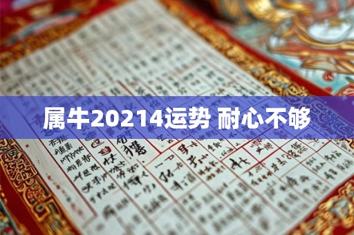 属牛20214运势 耐心不够