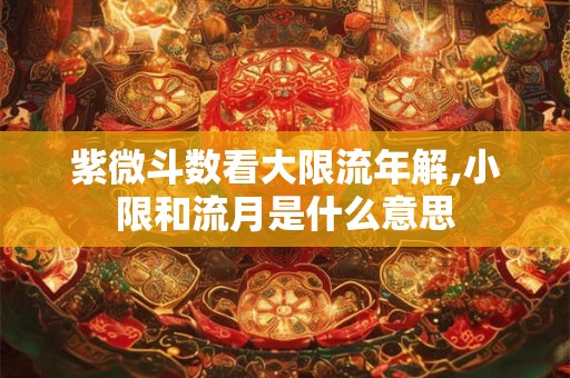 紫微斗数看大限流年解,小限和流月是什么意思