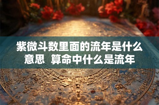 紫微斗数里面的流年是什么意思  算命中什么是流年