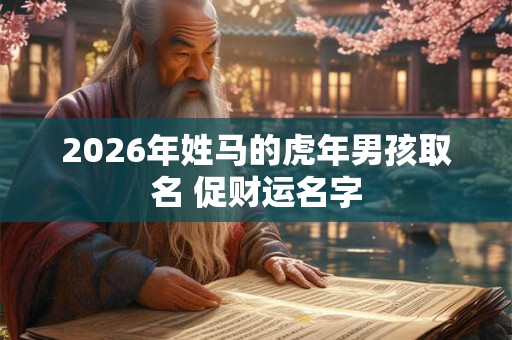 2026年姓马的虎年男孩取名 促财运名字