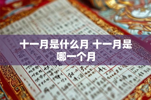 十一月是什么月 十一月是哪一个月 十一月是什么月 十一月是哪一个月
