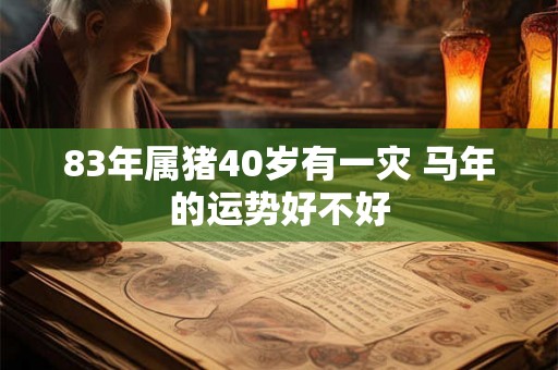 83年属猪40岁有一灾 马年的运势好不好